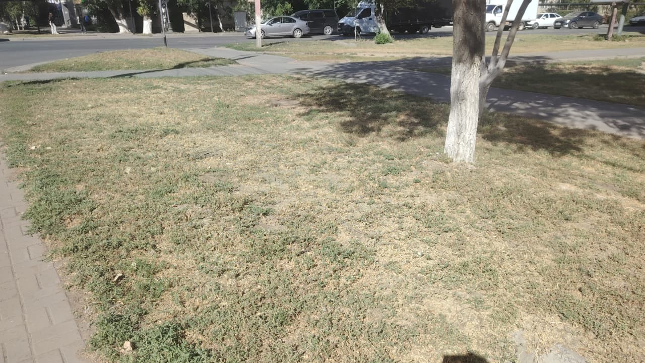 img-1