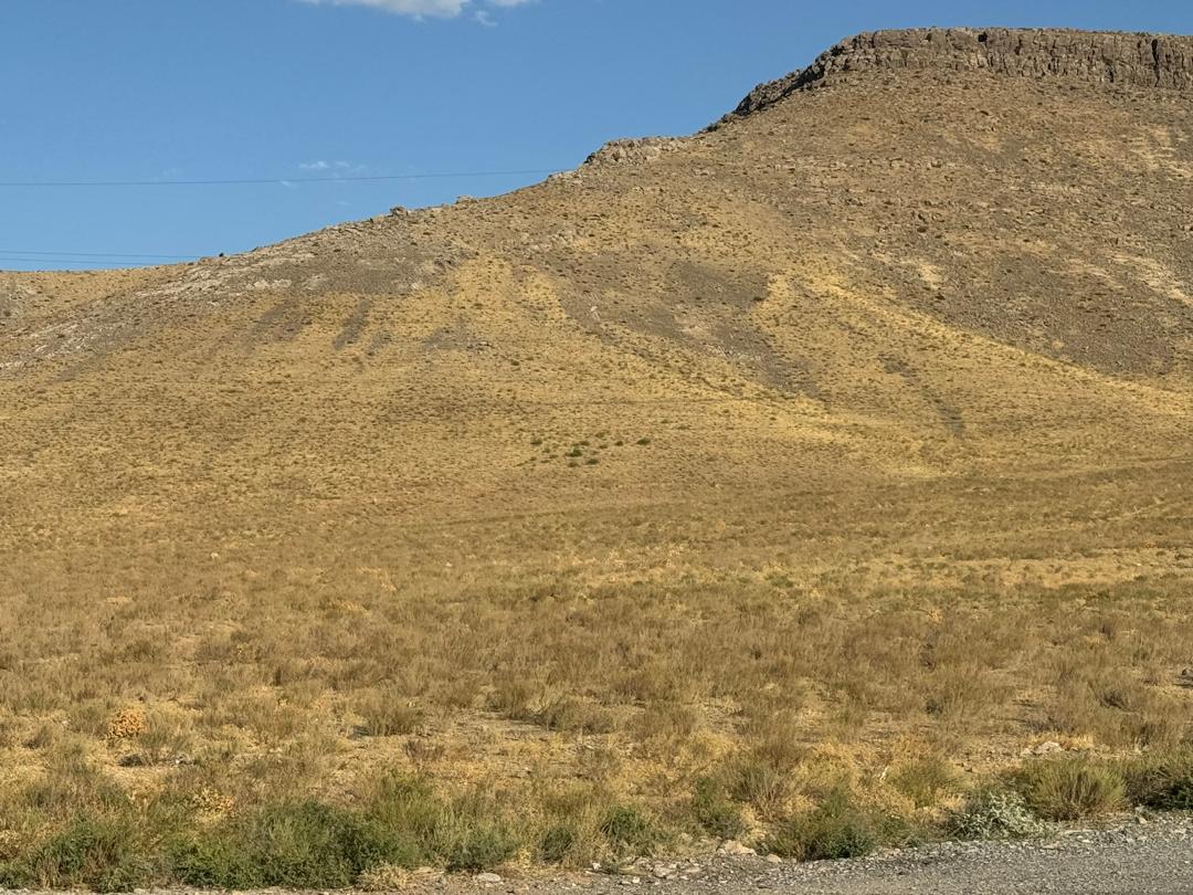 img-3