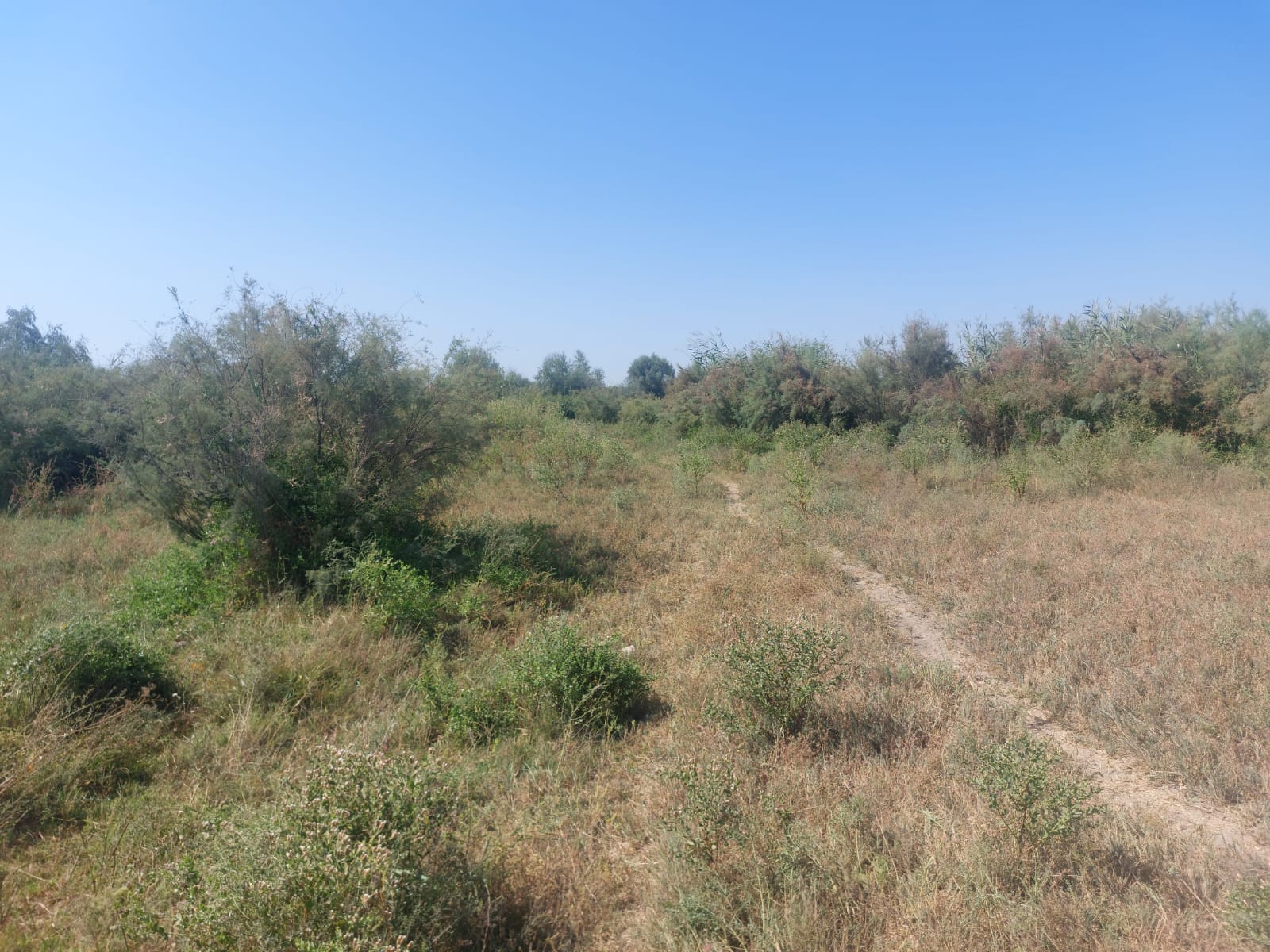 img-6