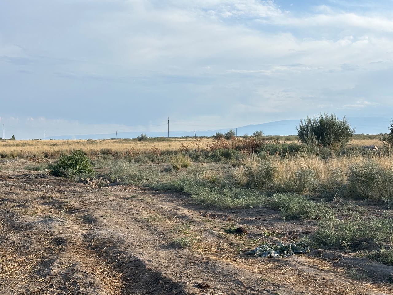 img-4