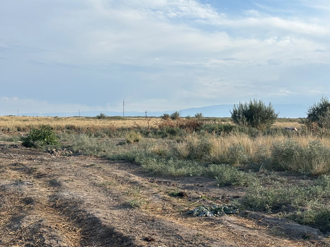 img-3