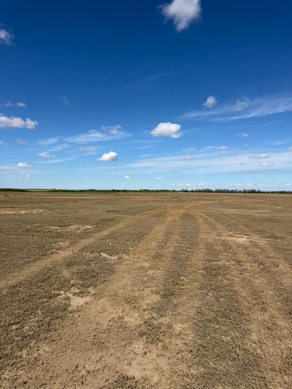 img-3
