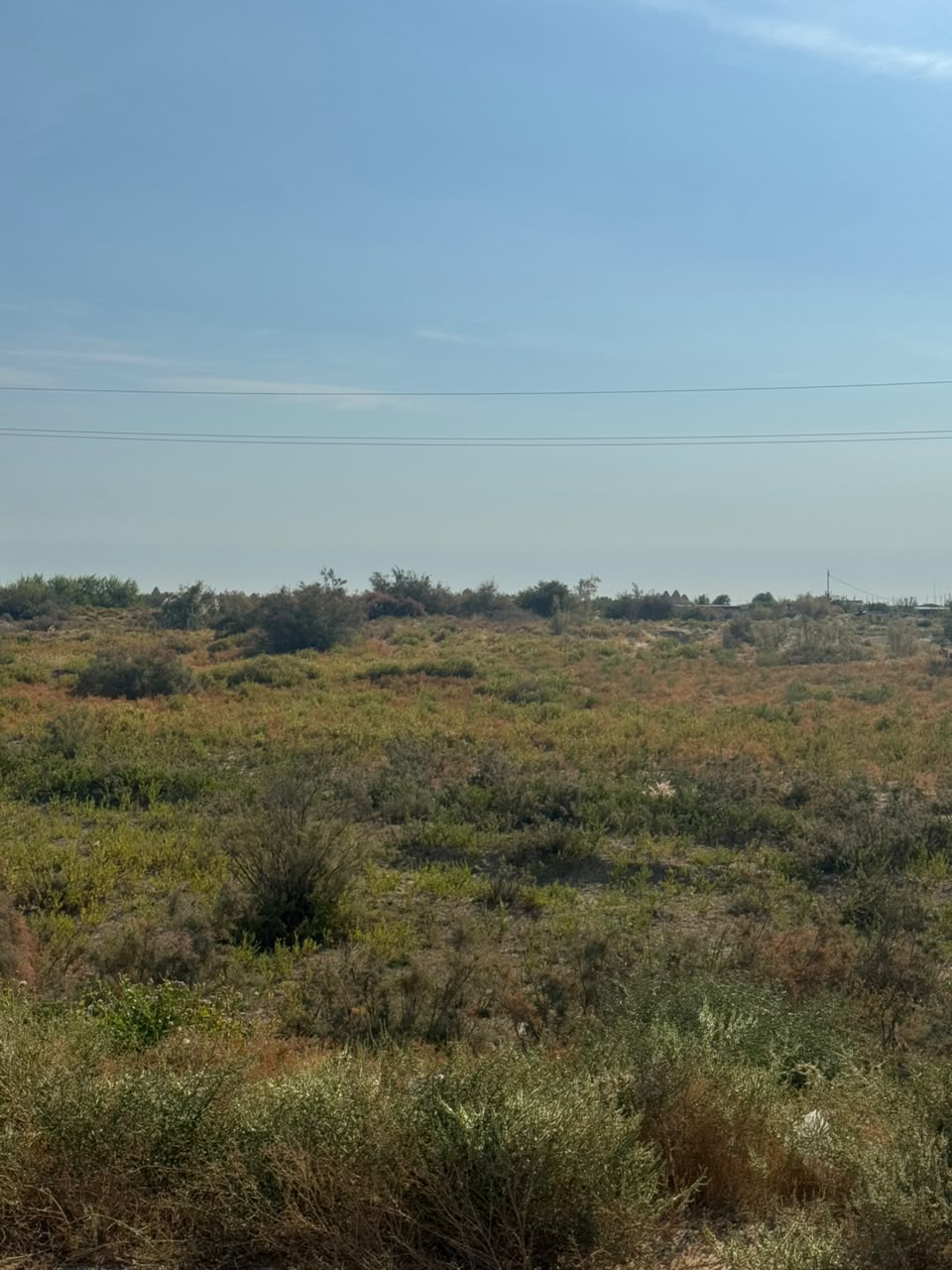 img-1
