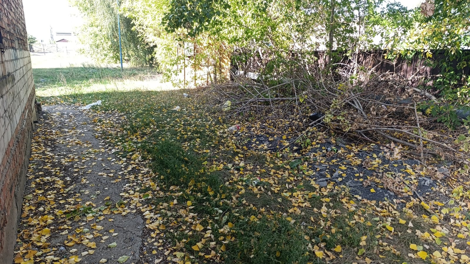 img-2