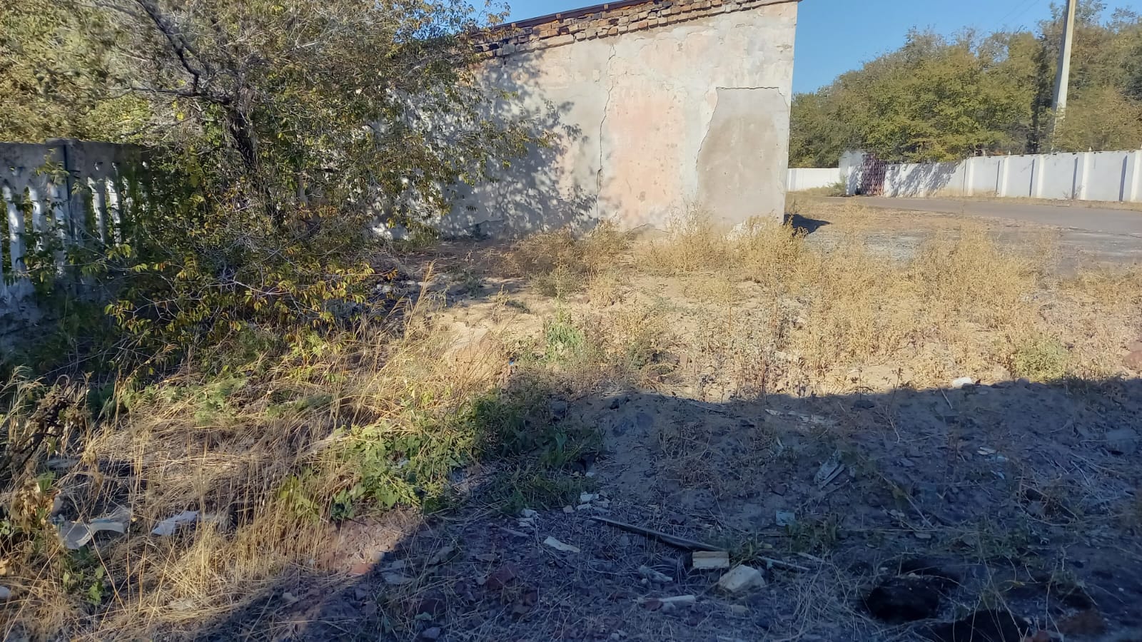 img-3