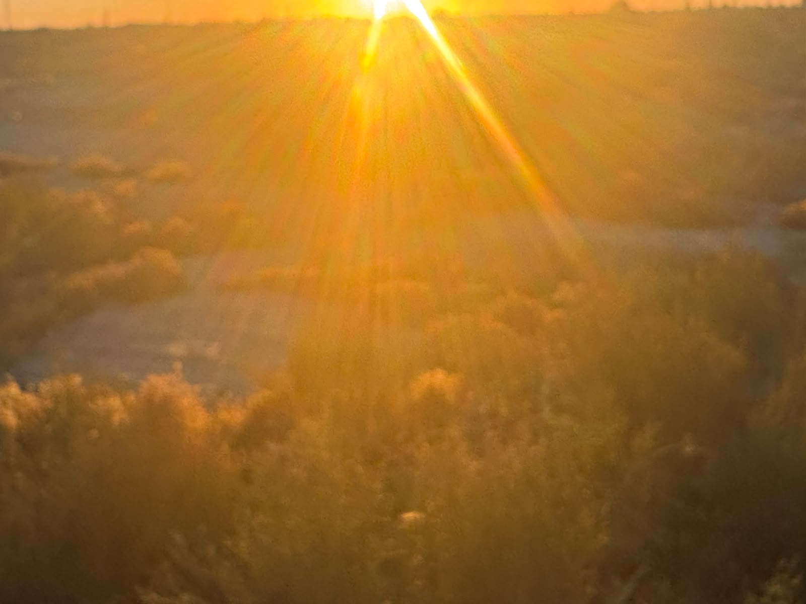 img-2