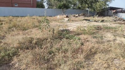 img-3