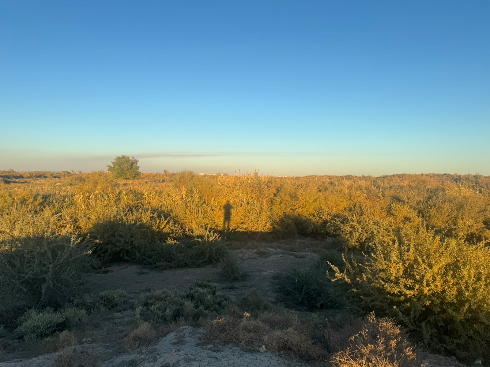 img-2