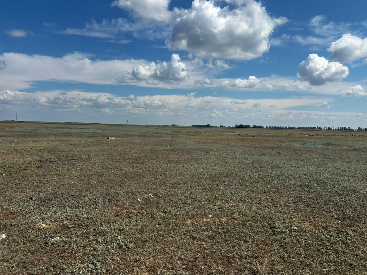 img-4