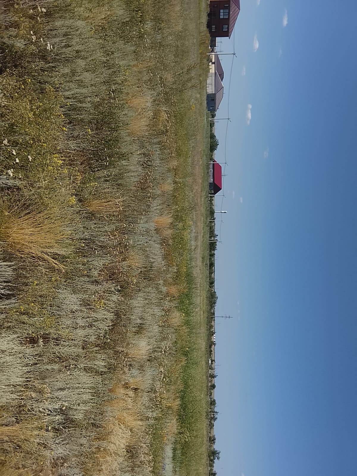 img-2
