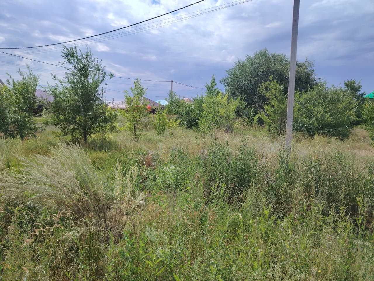 img-3