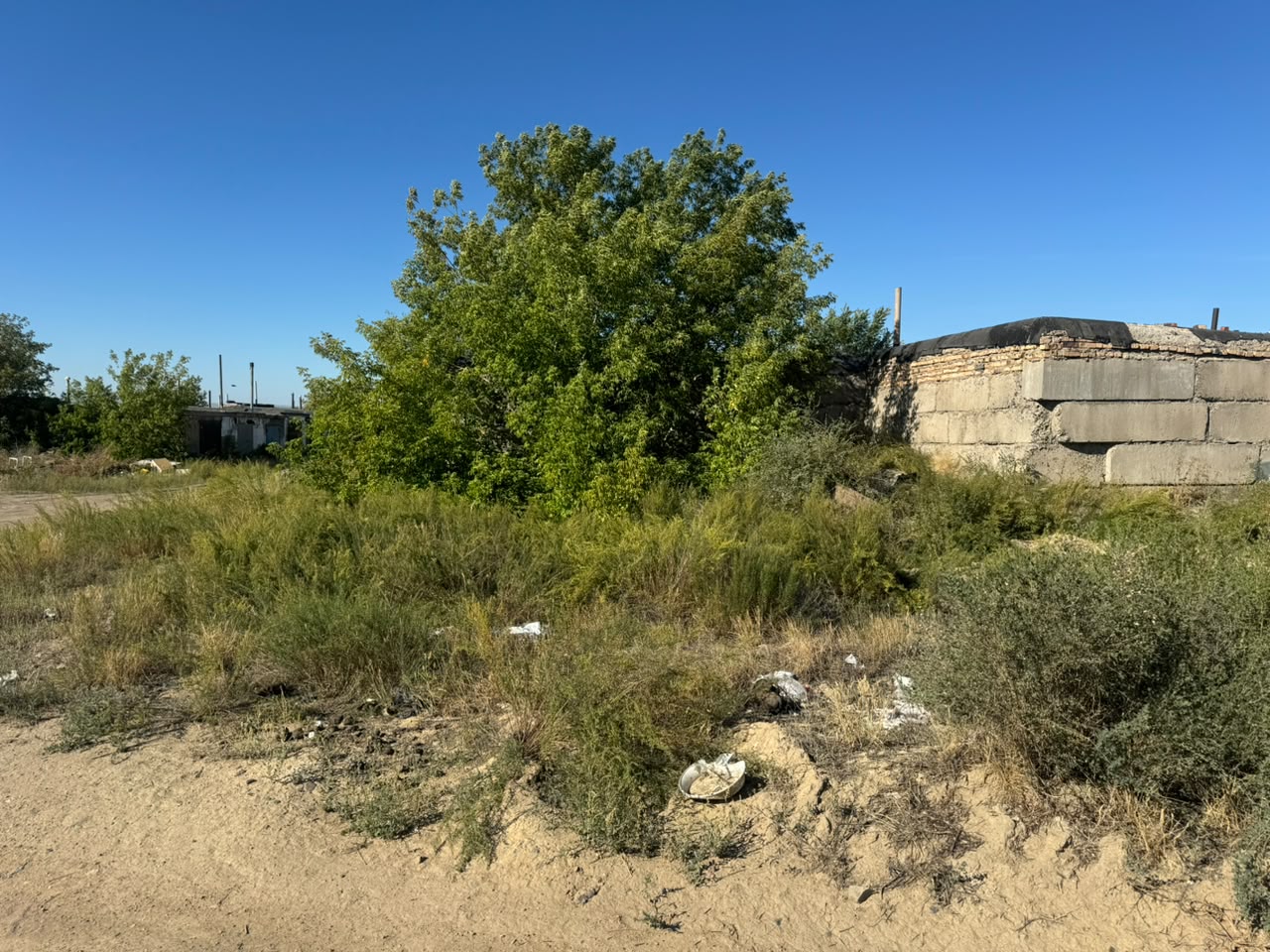 img-4