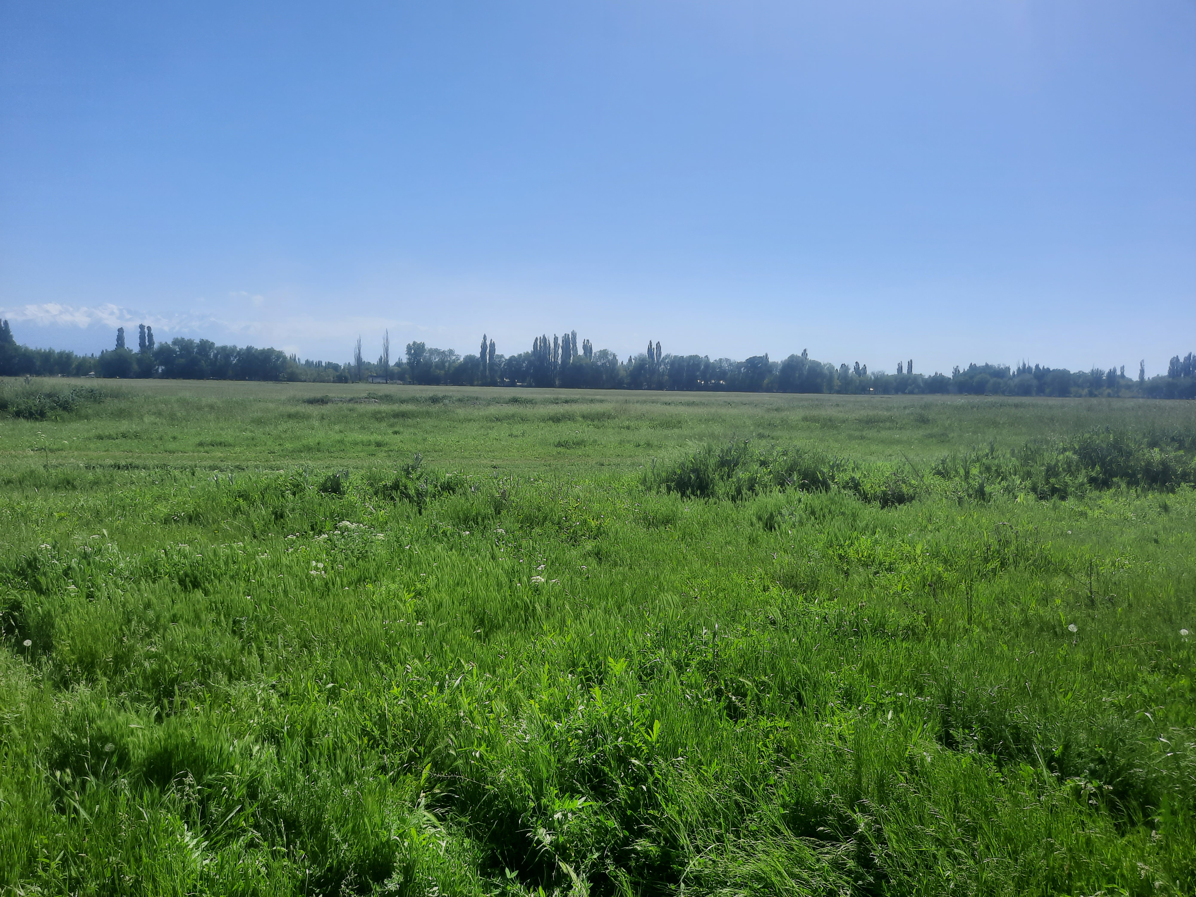 img-3