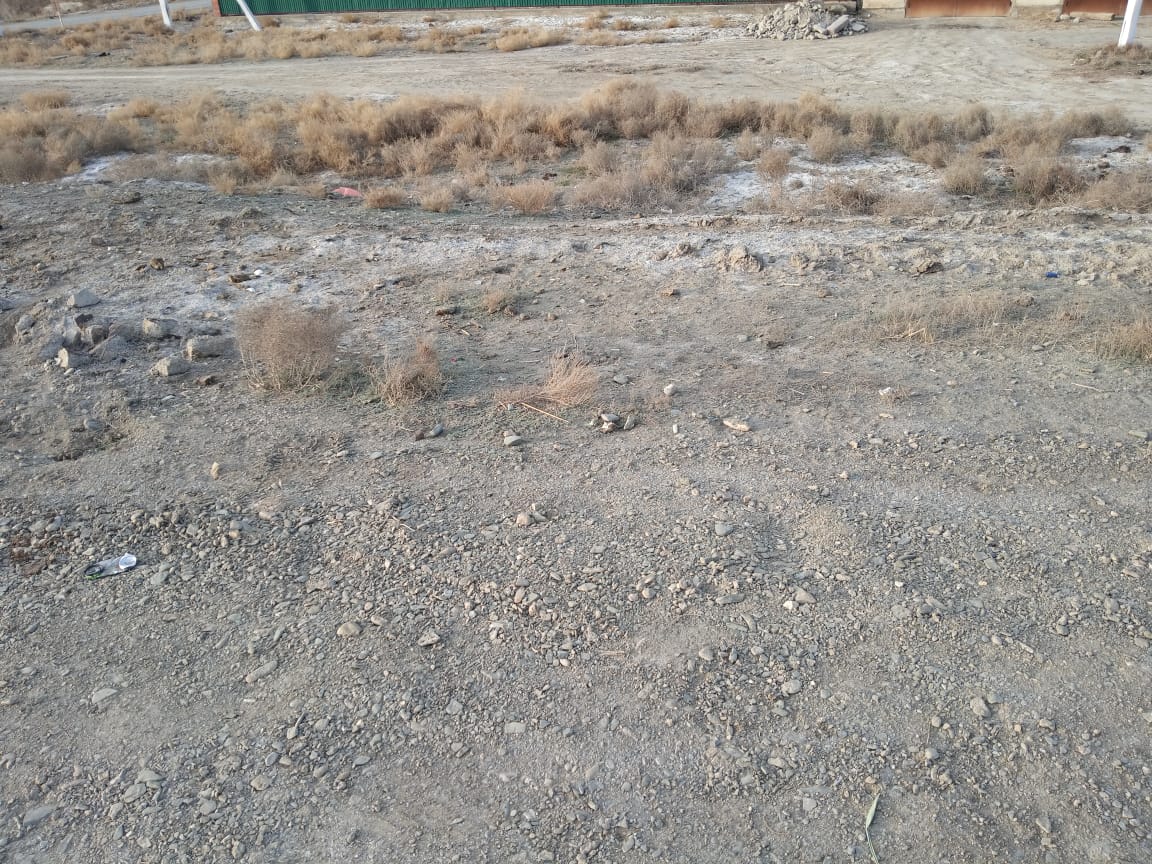 img-2