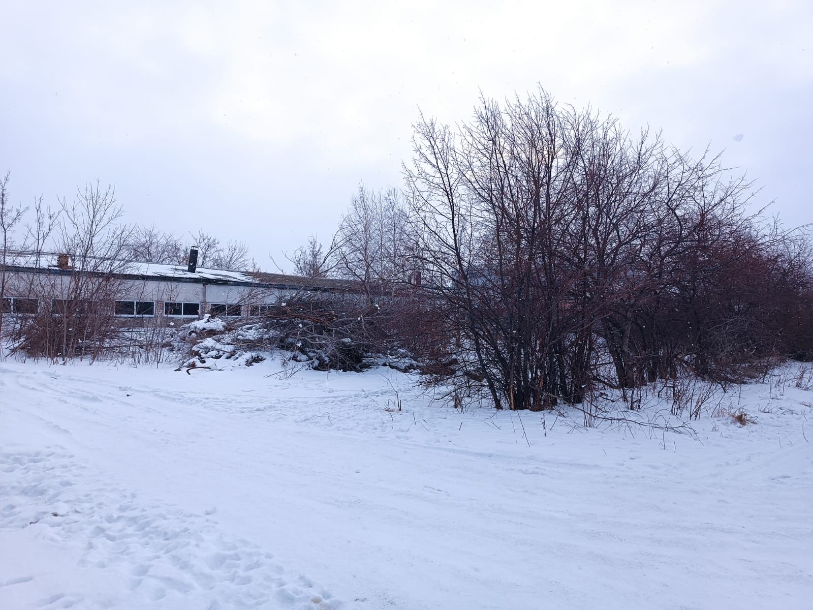 img-2