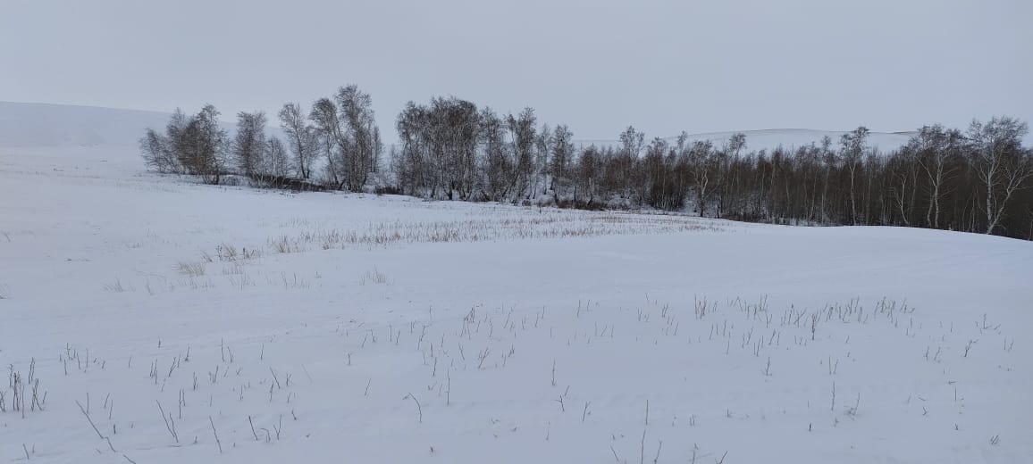 img-5