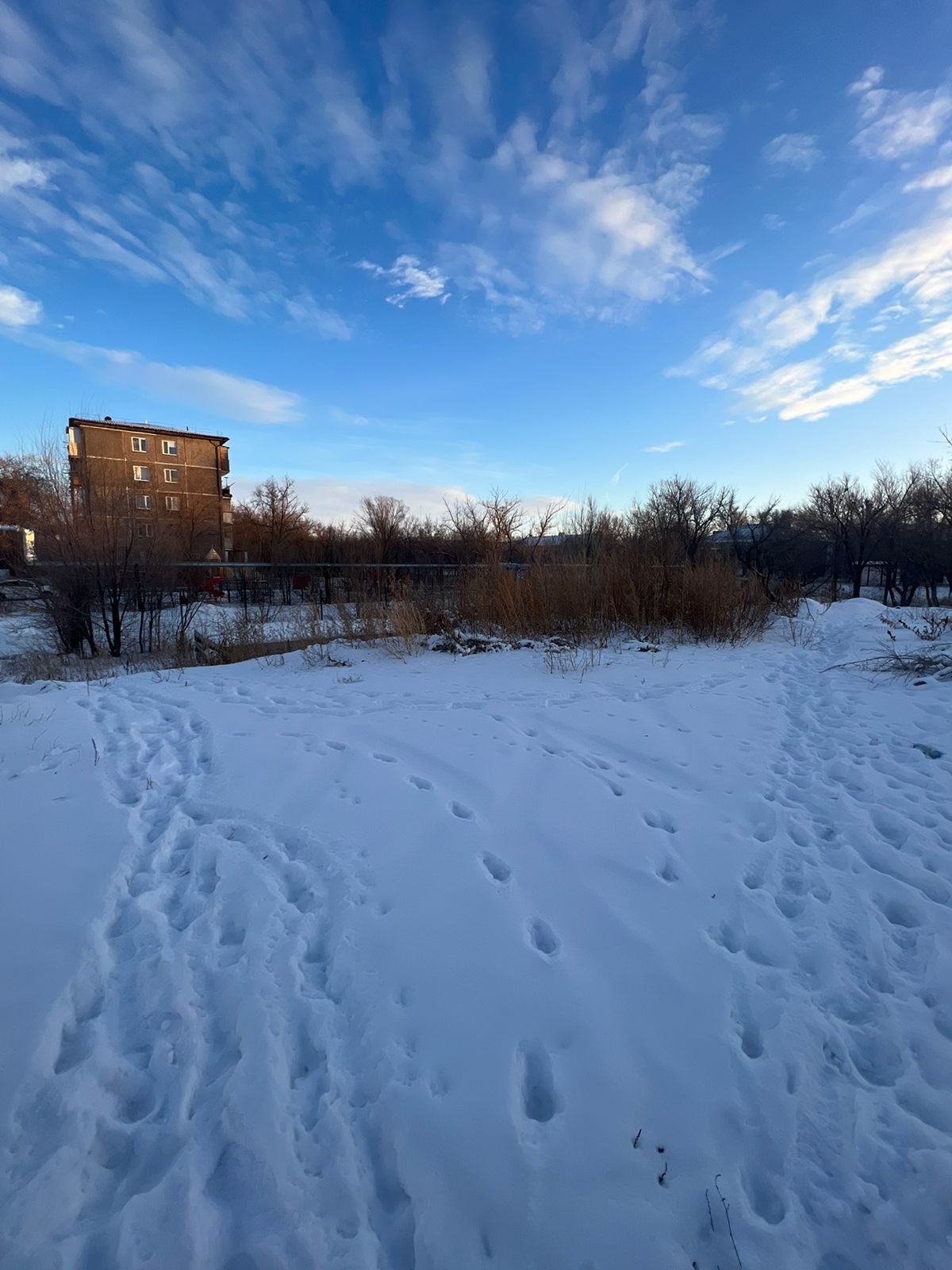 img-3