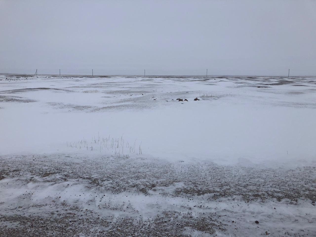 img-2