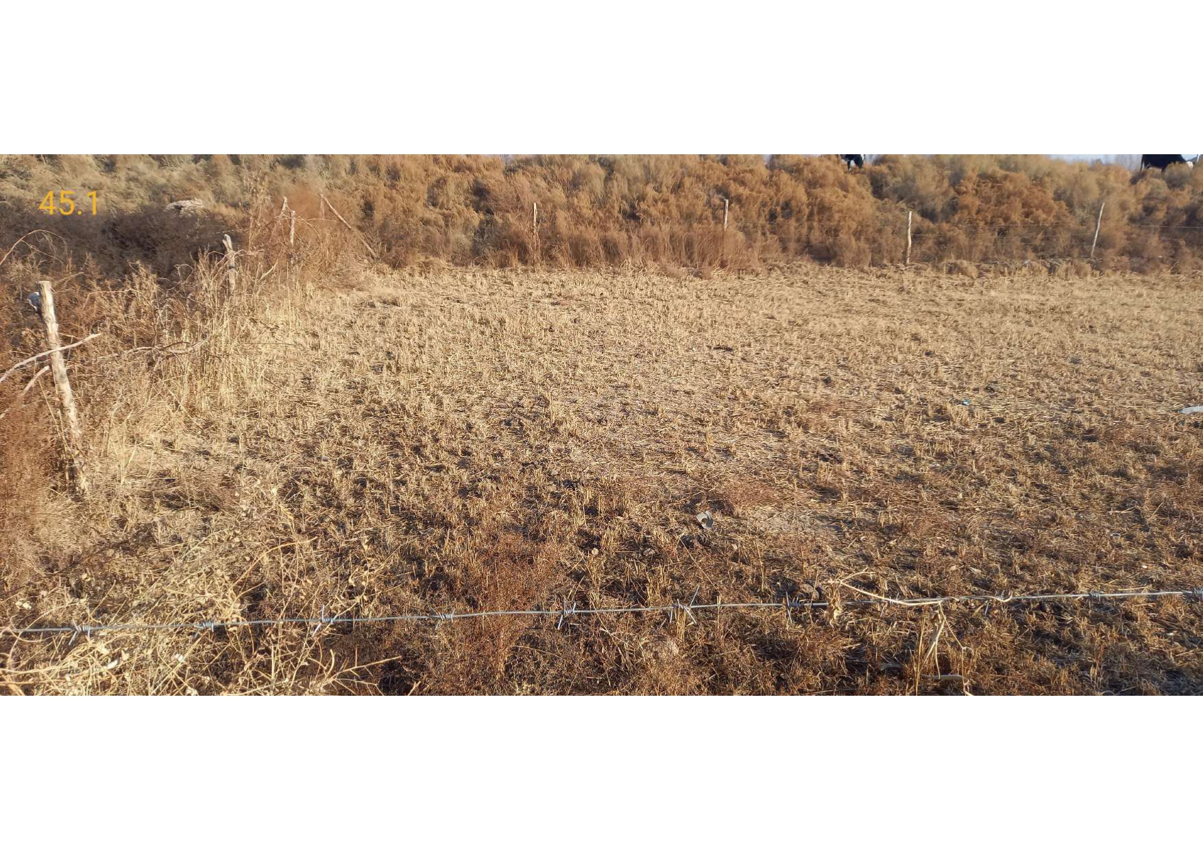 img-4