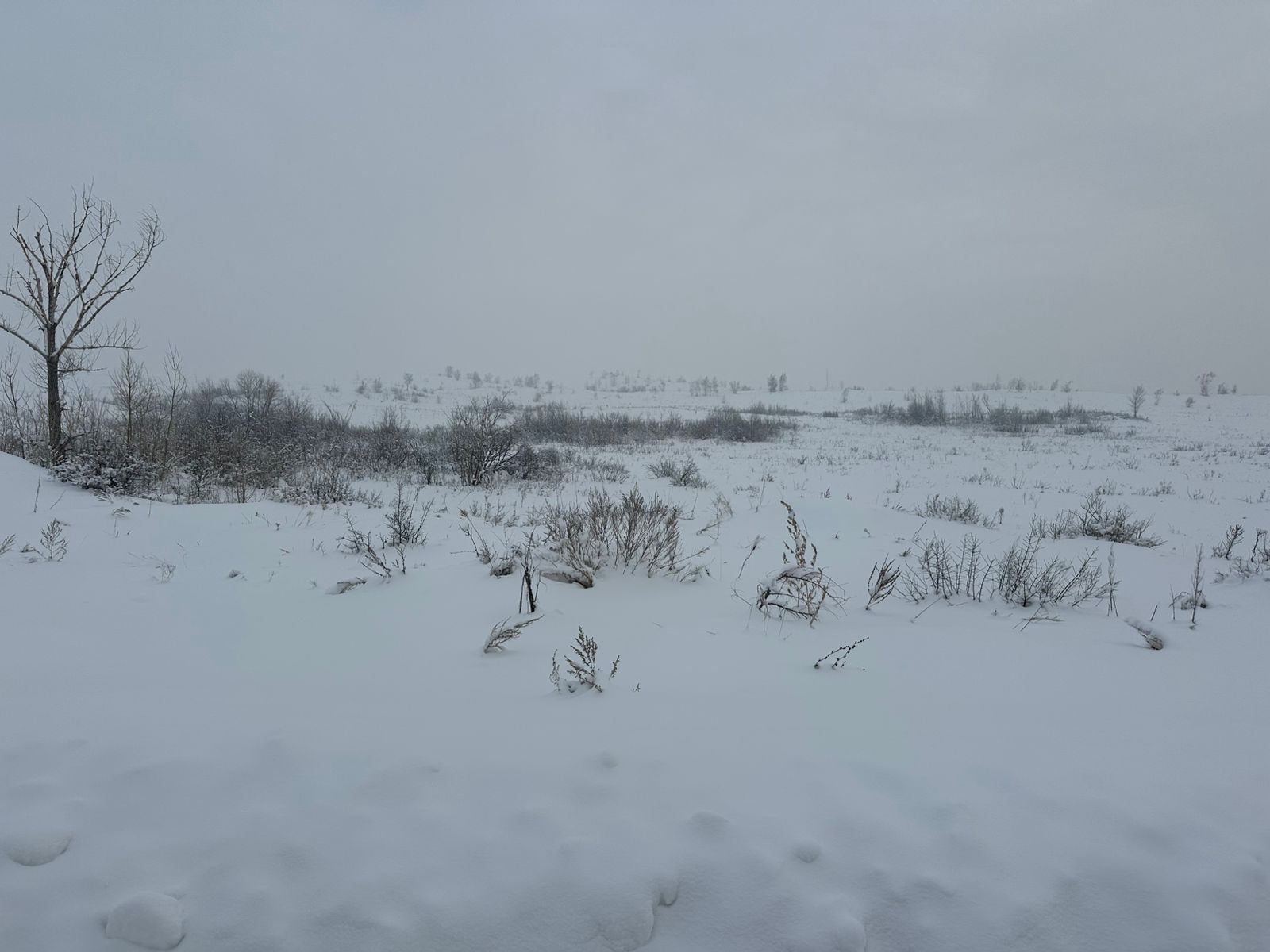 img-0
