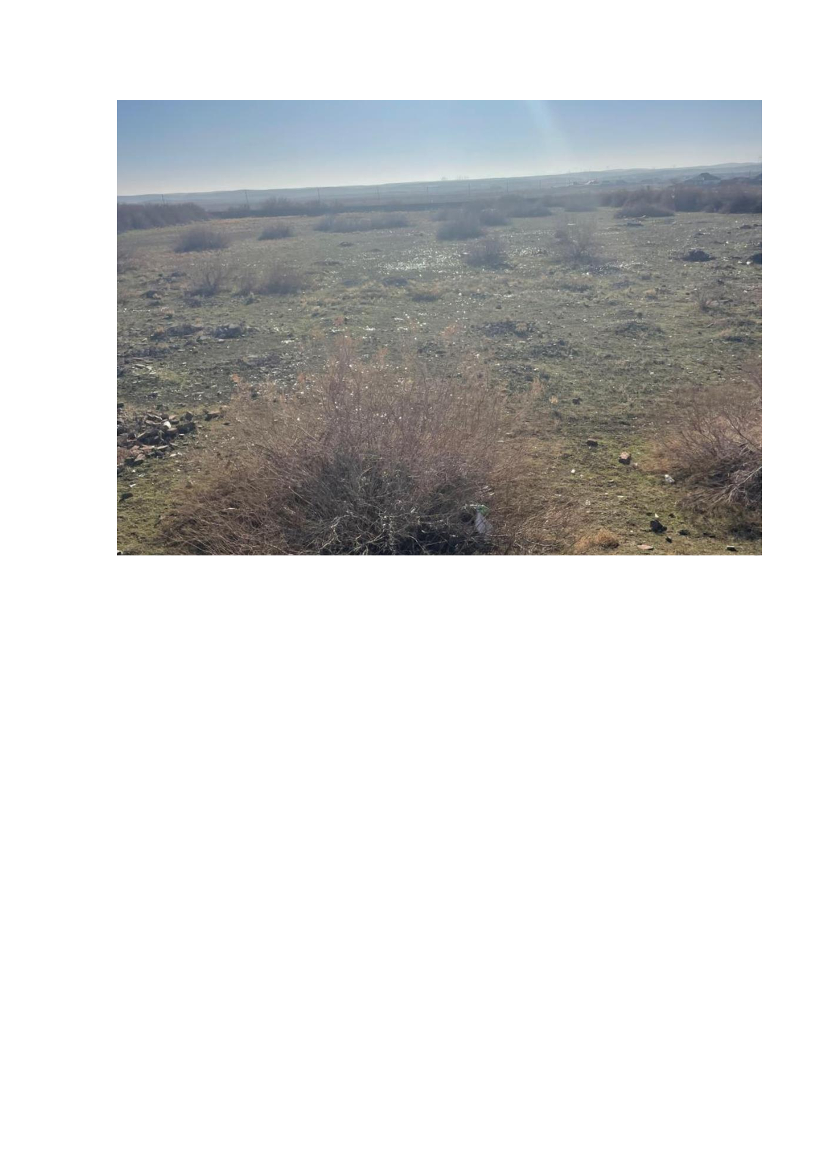 img-1