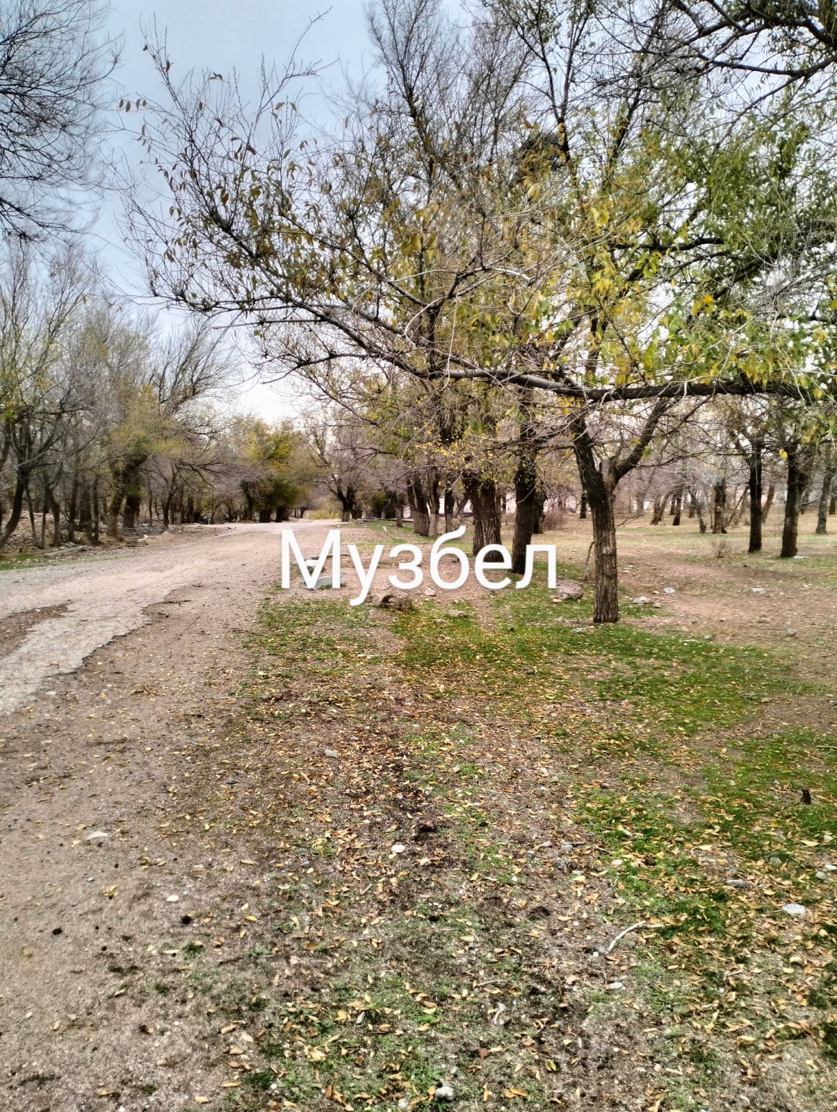 img-0
