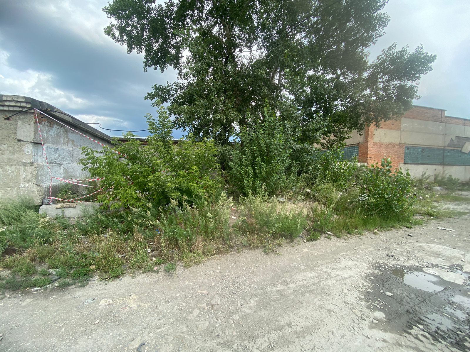 img-0