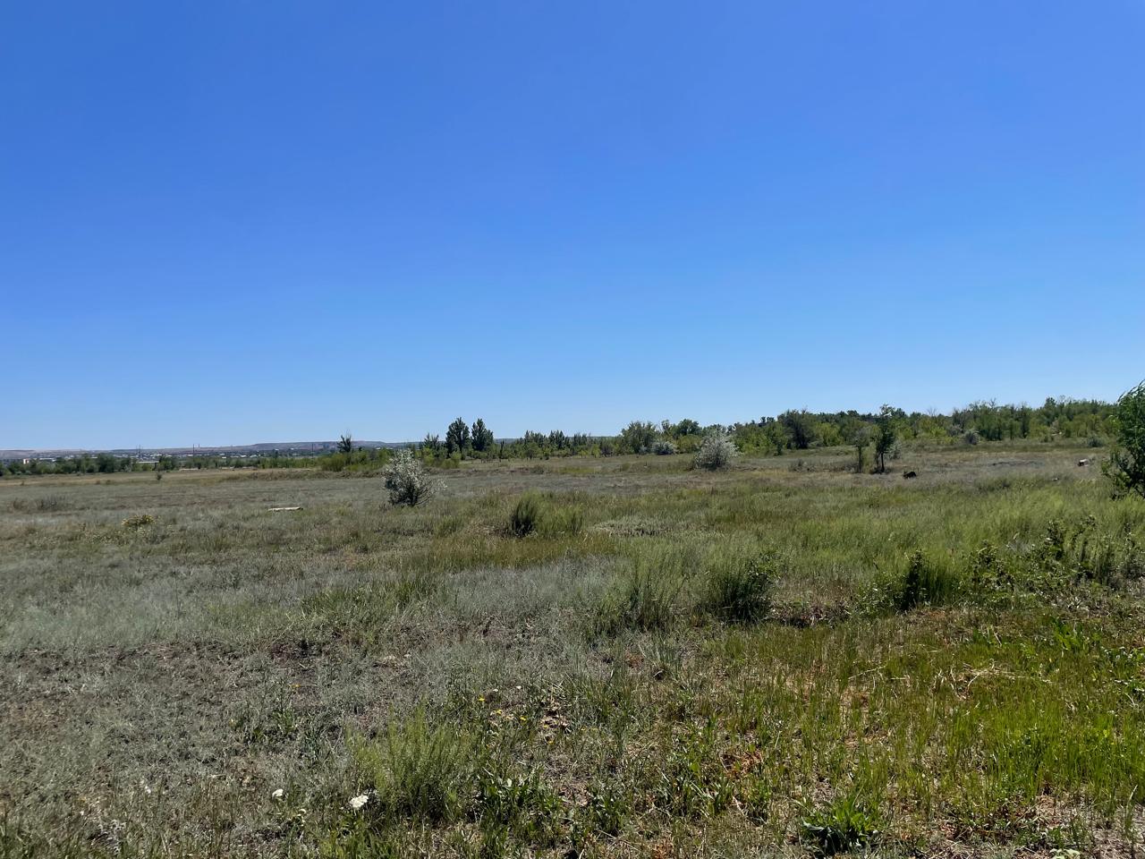 img-1