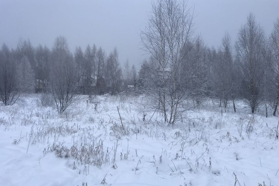 img-0