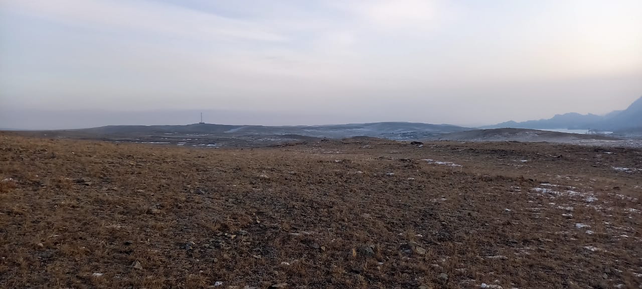 img-2
