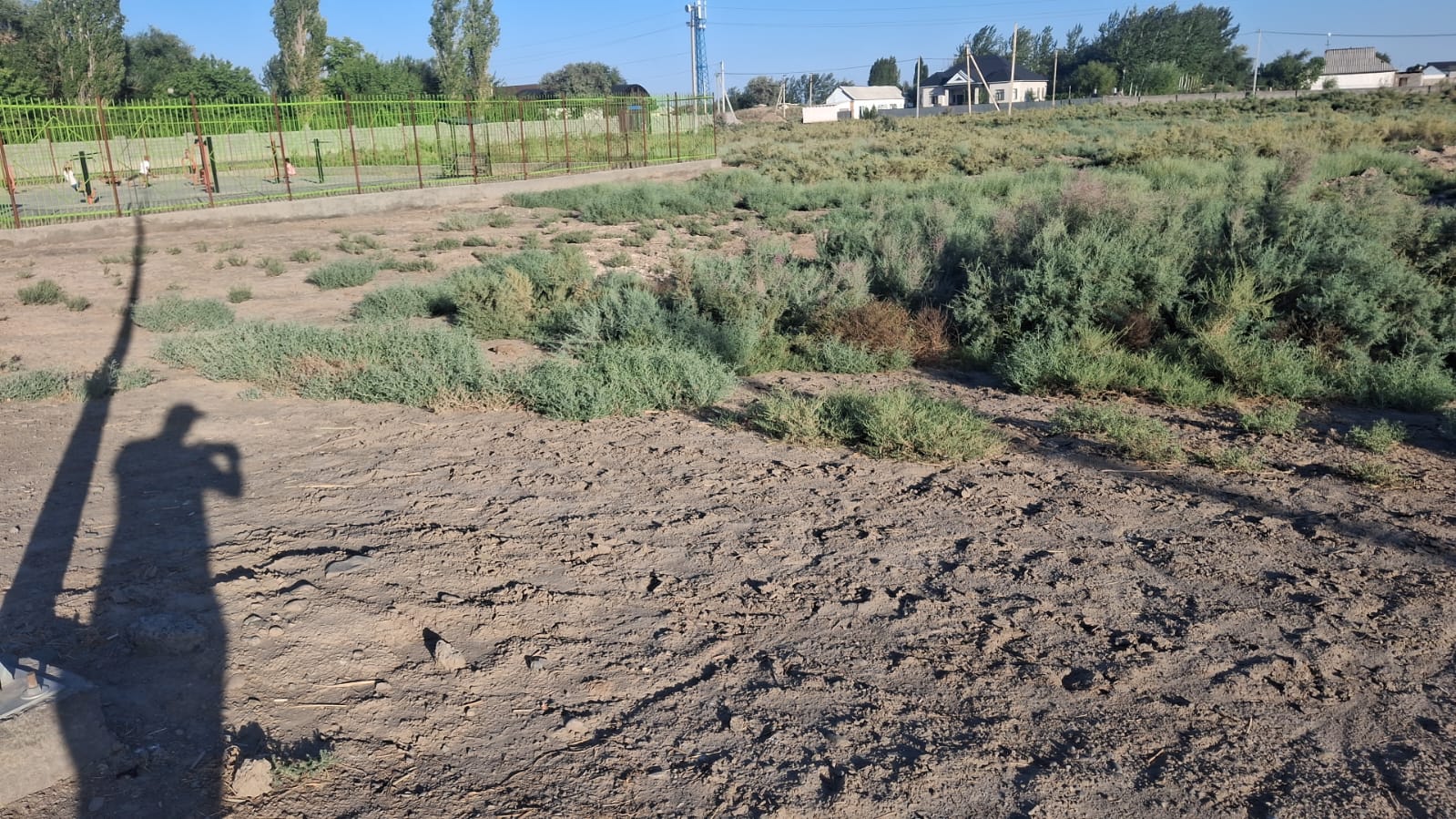 img-2
