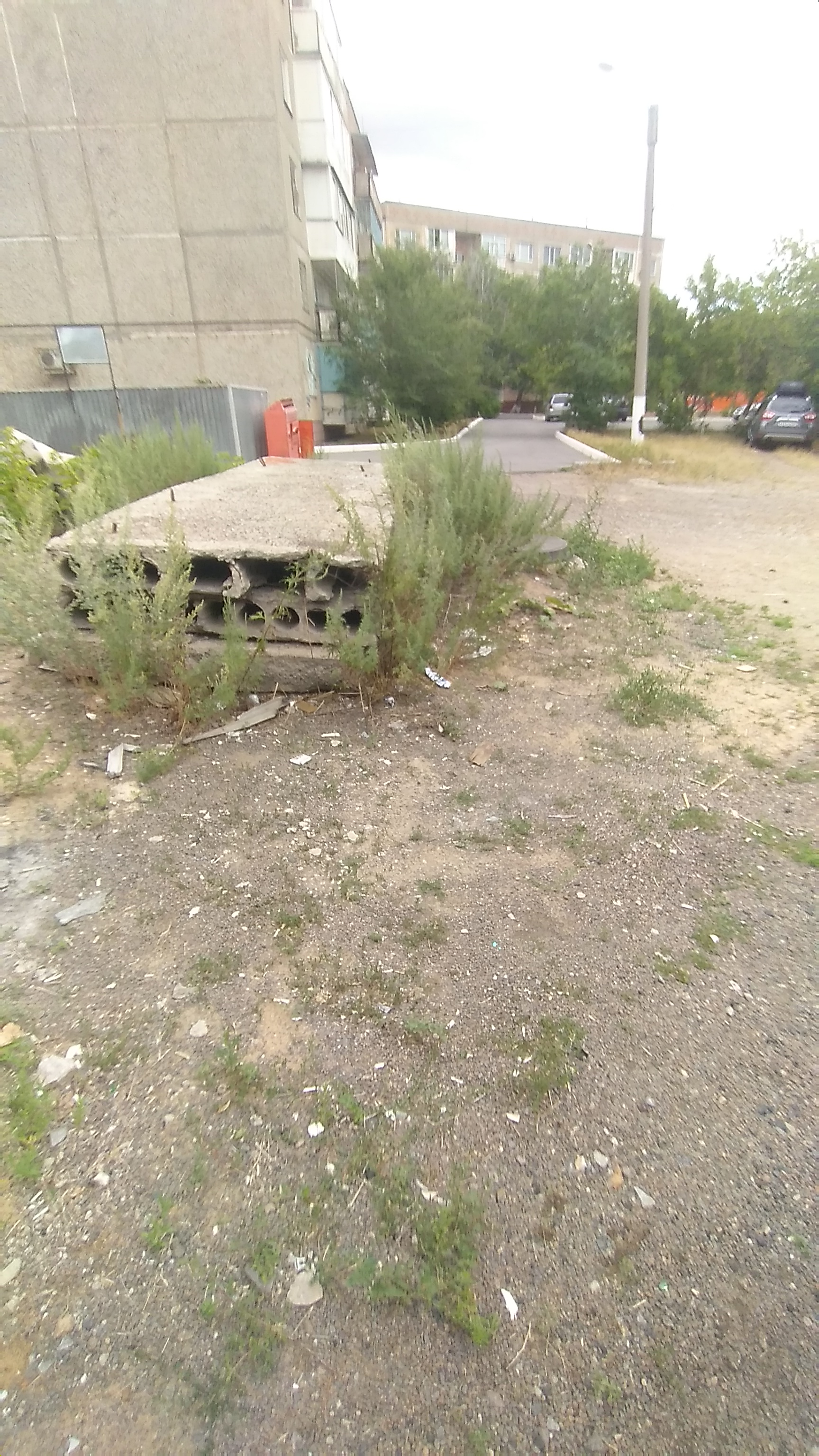 img-4