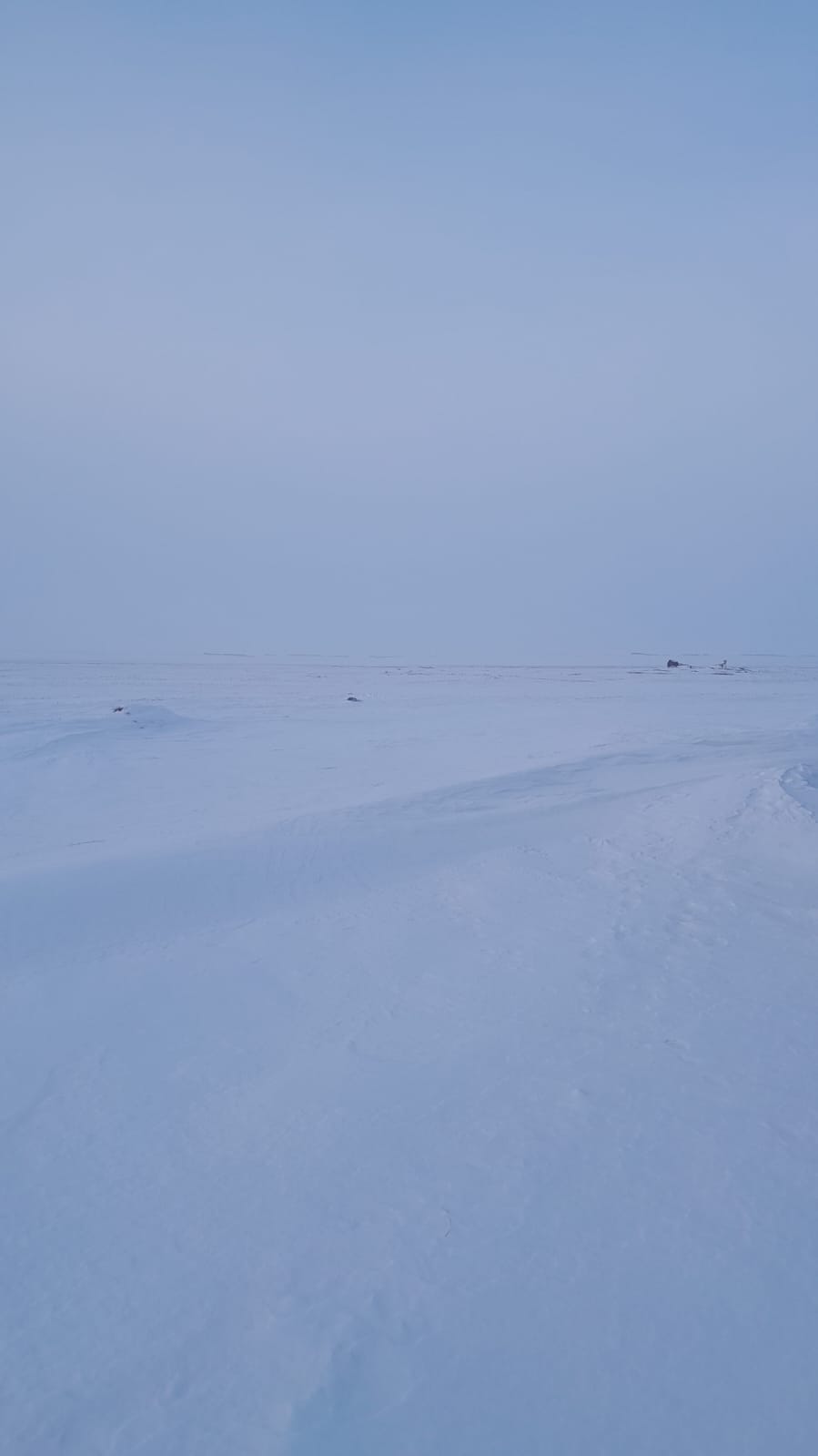 img-3