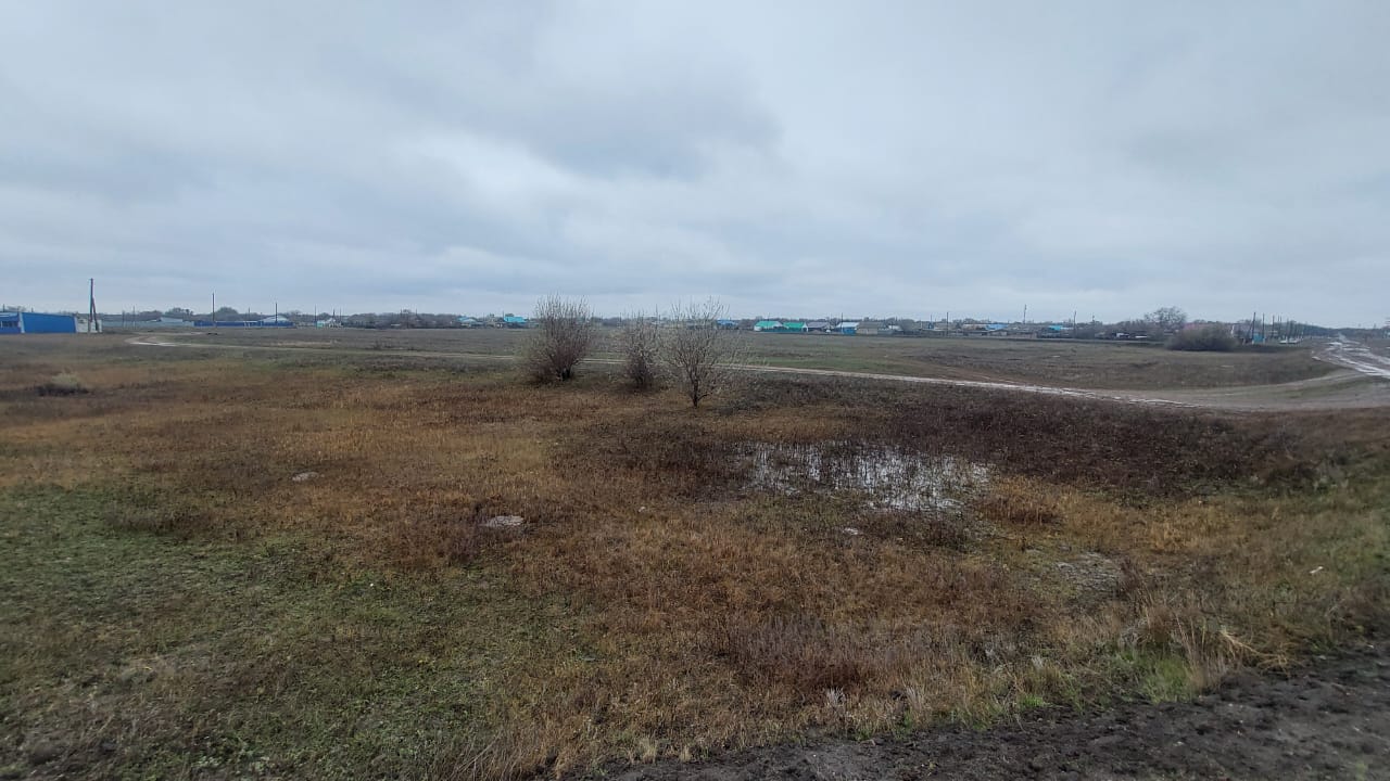 img-3
