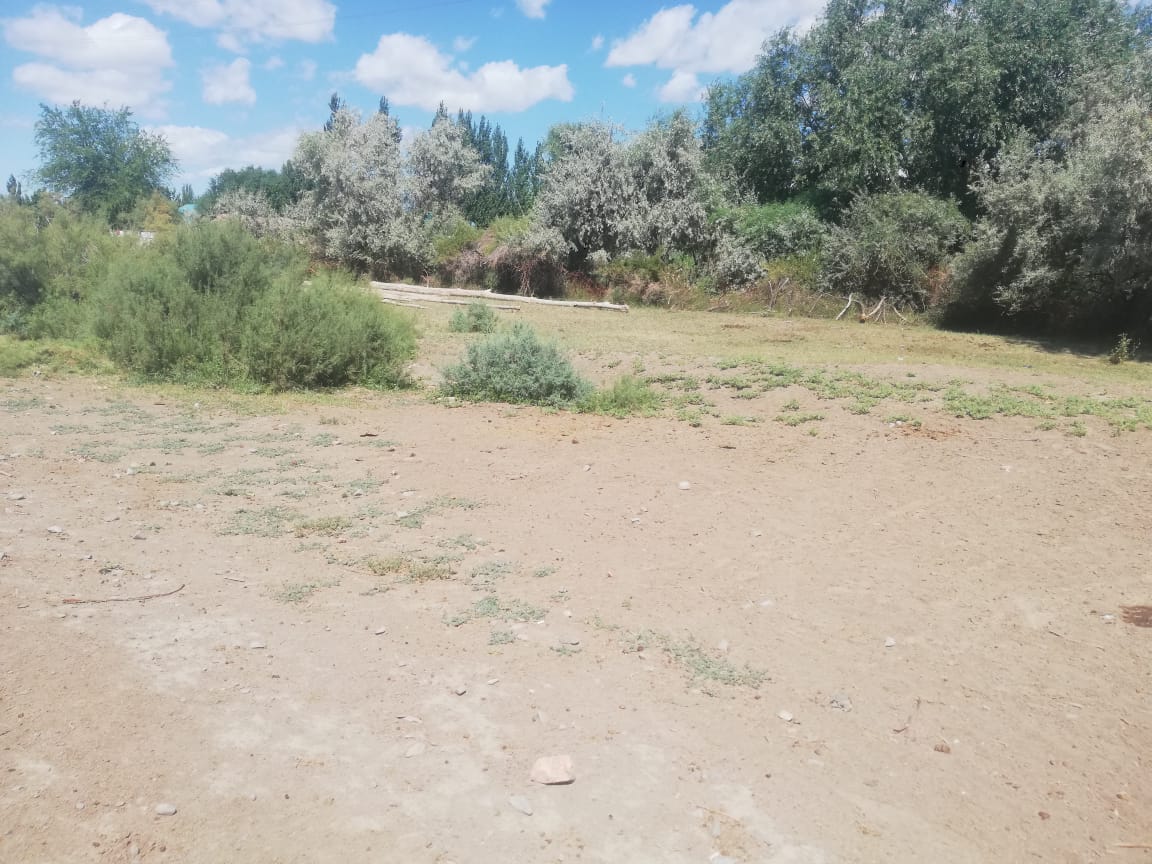img-0