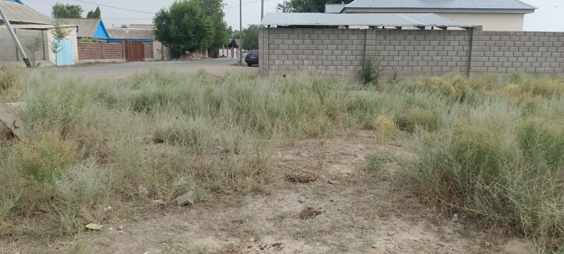 img-1