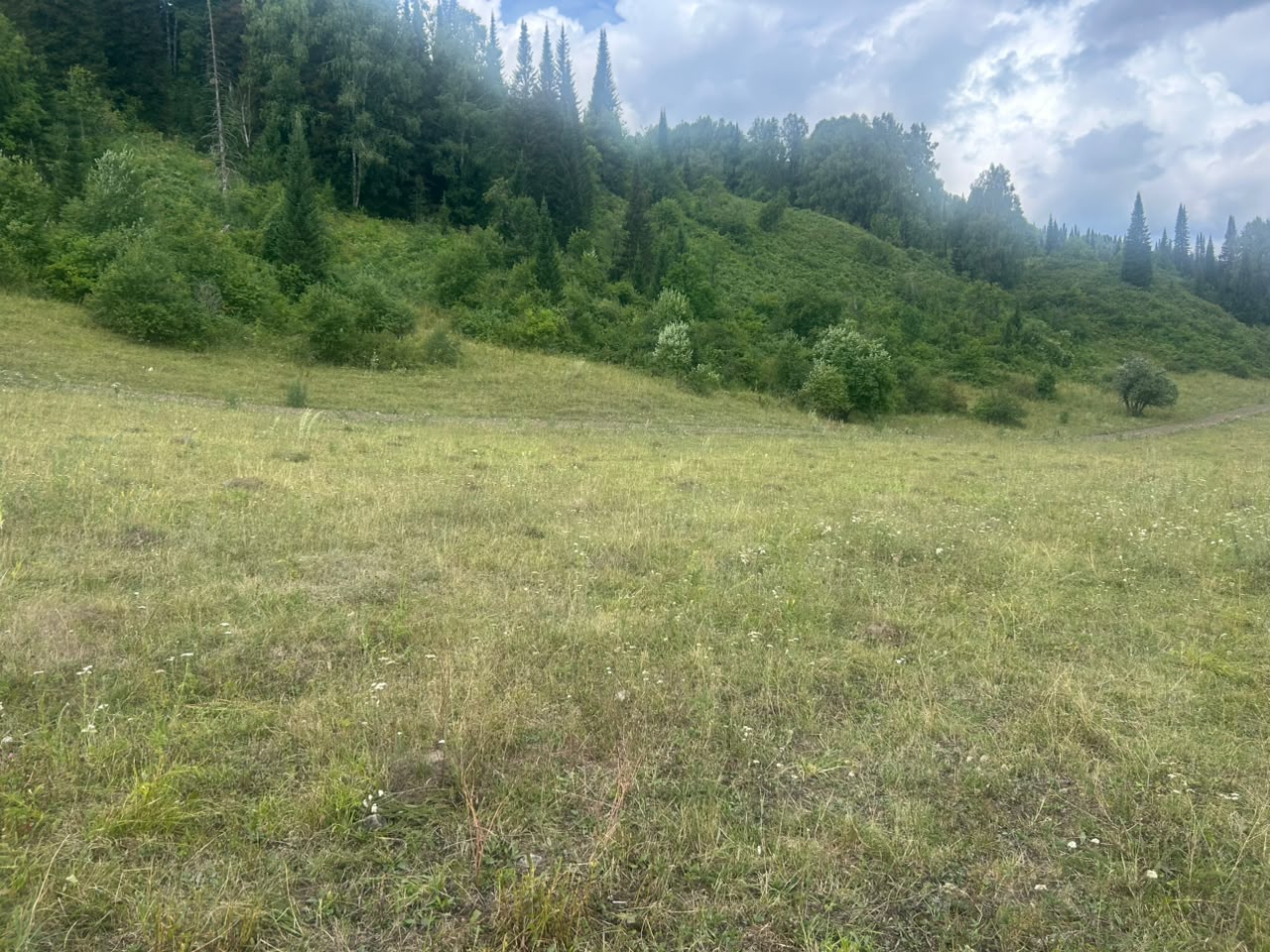 img-2