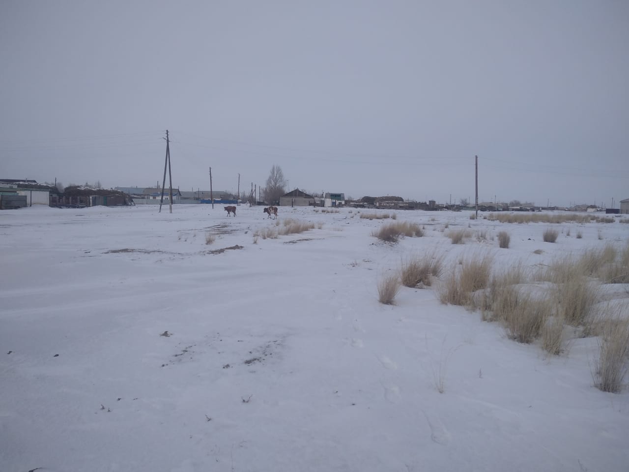 img-4