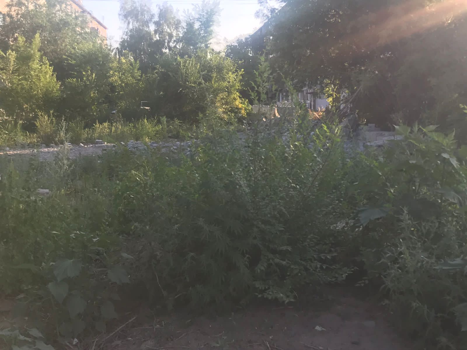 img-4