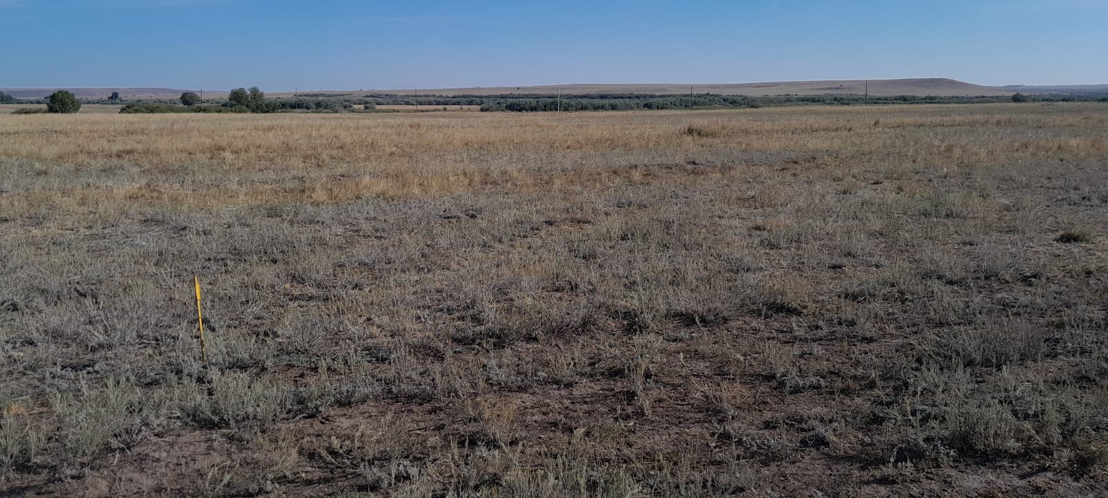 img-4