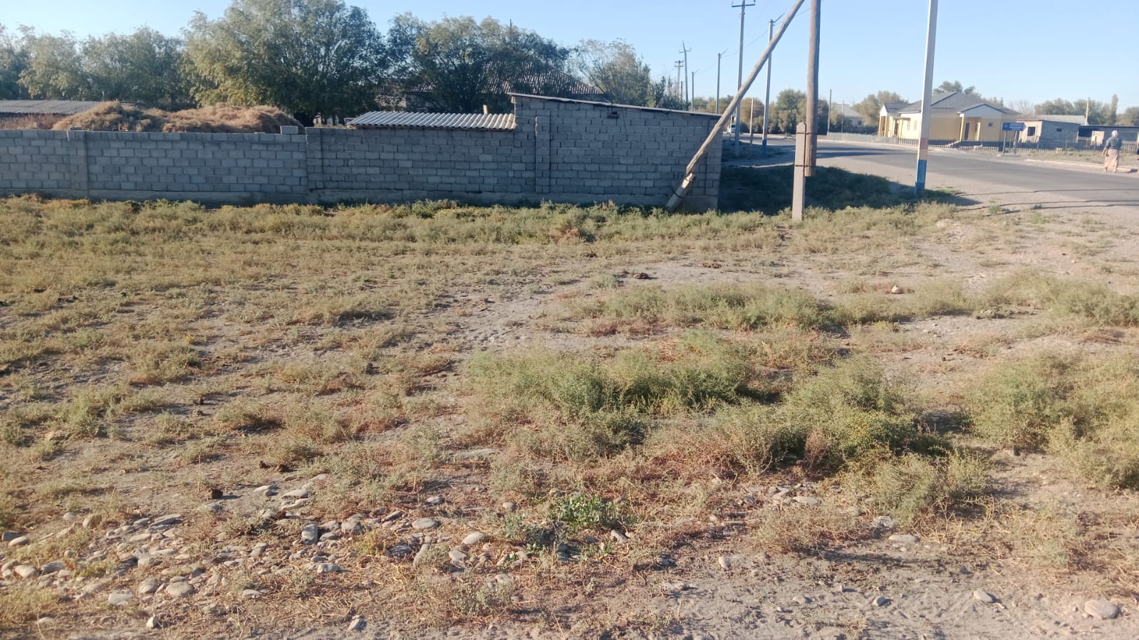img-0