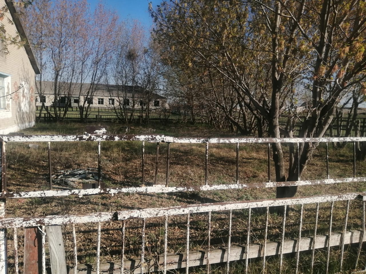 img-1