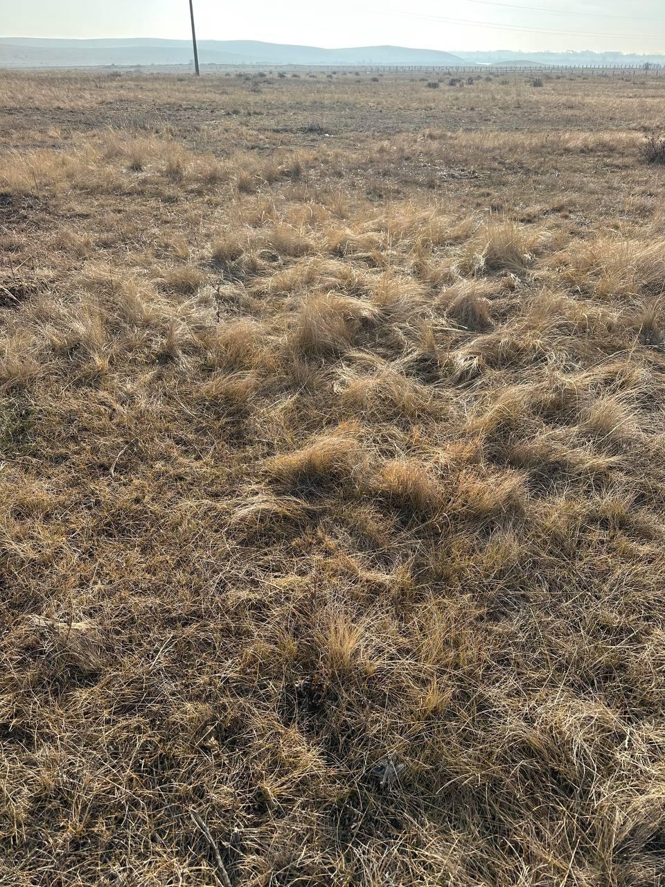 img-1