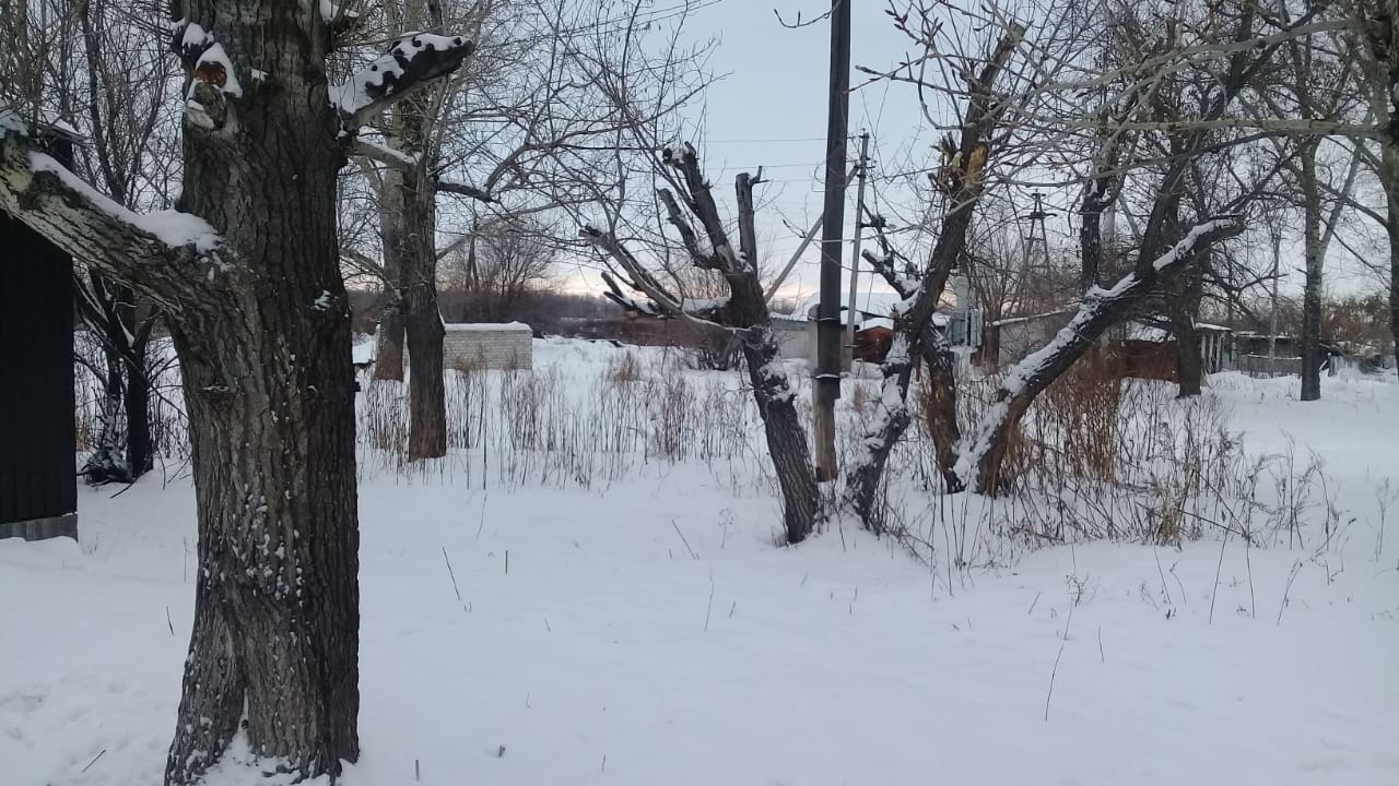 img-2