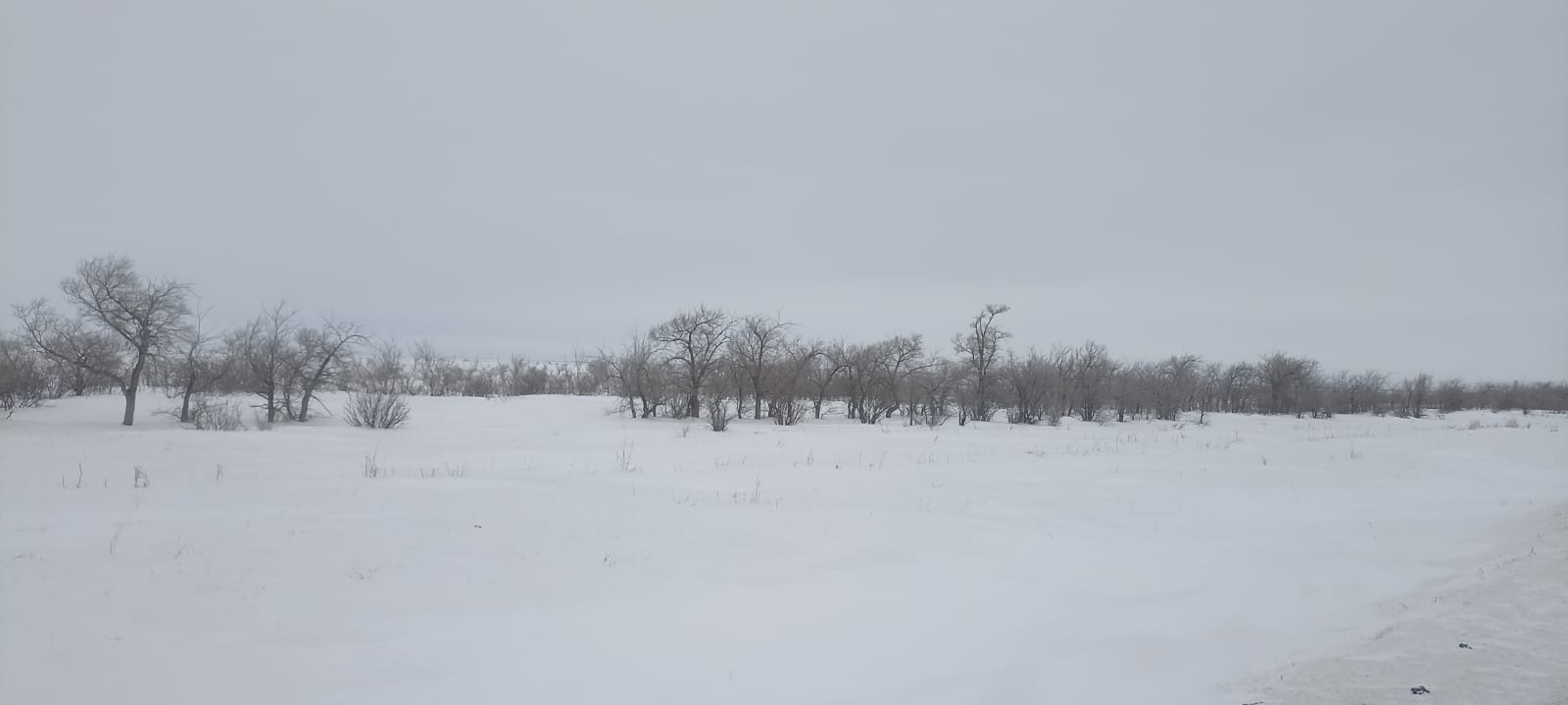 img-3