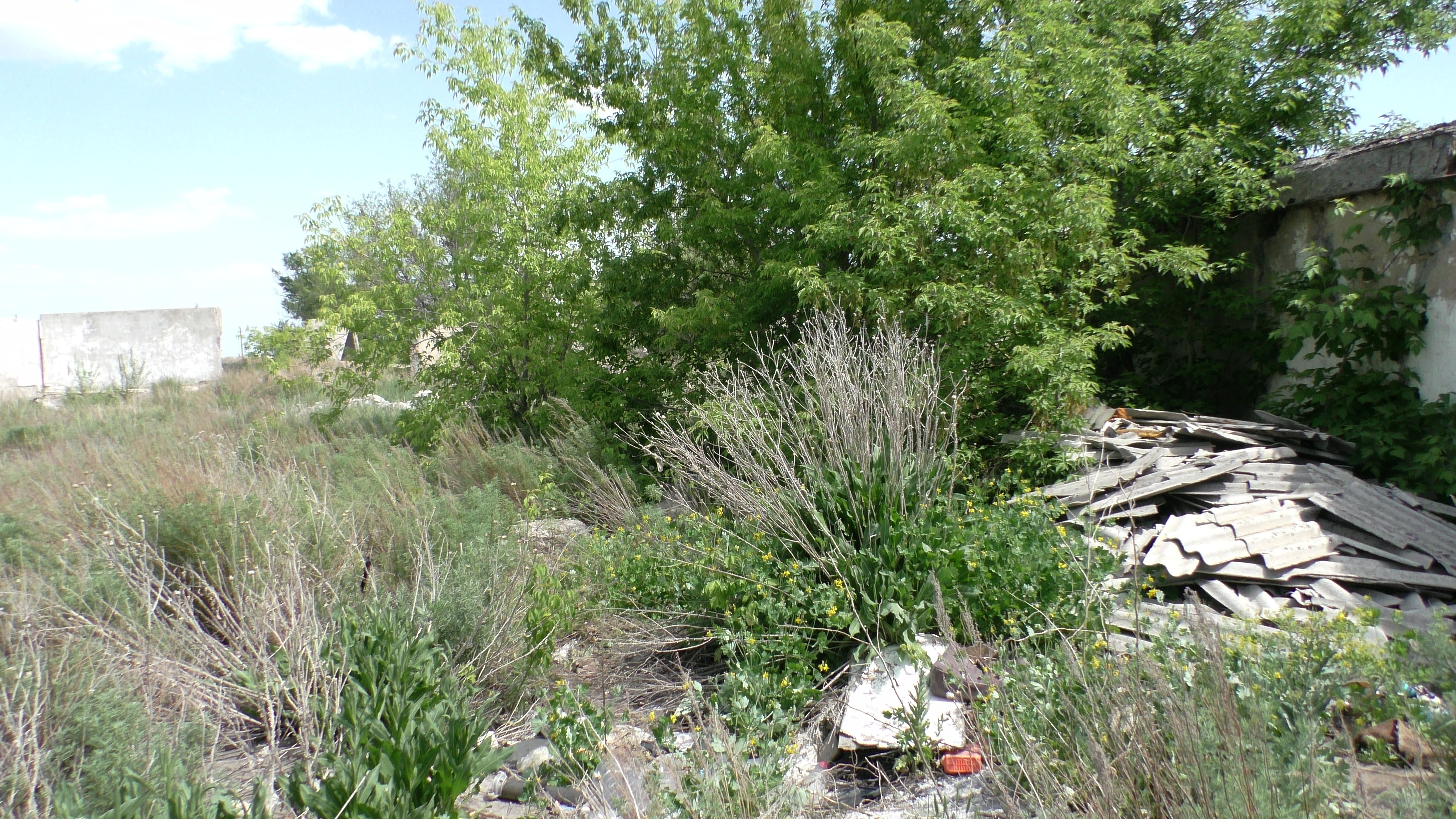 img-1