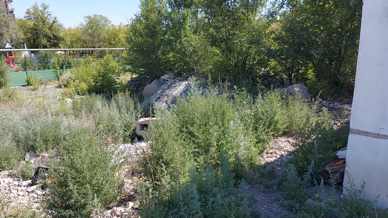 img-2