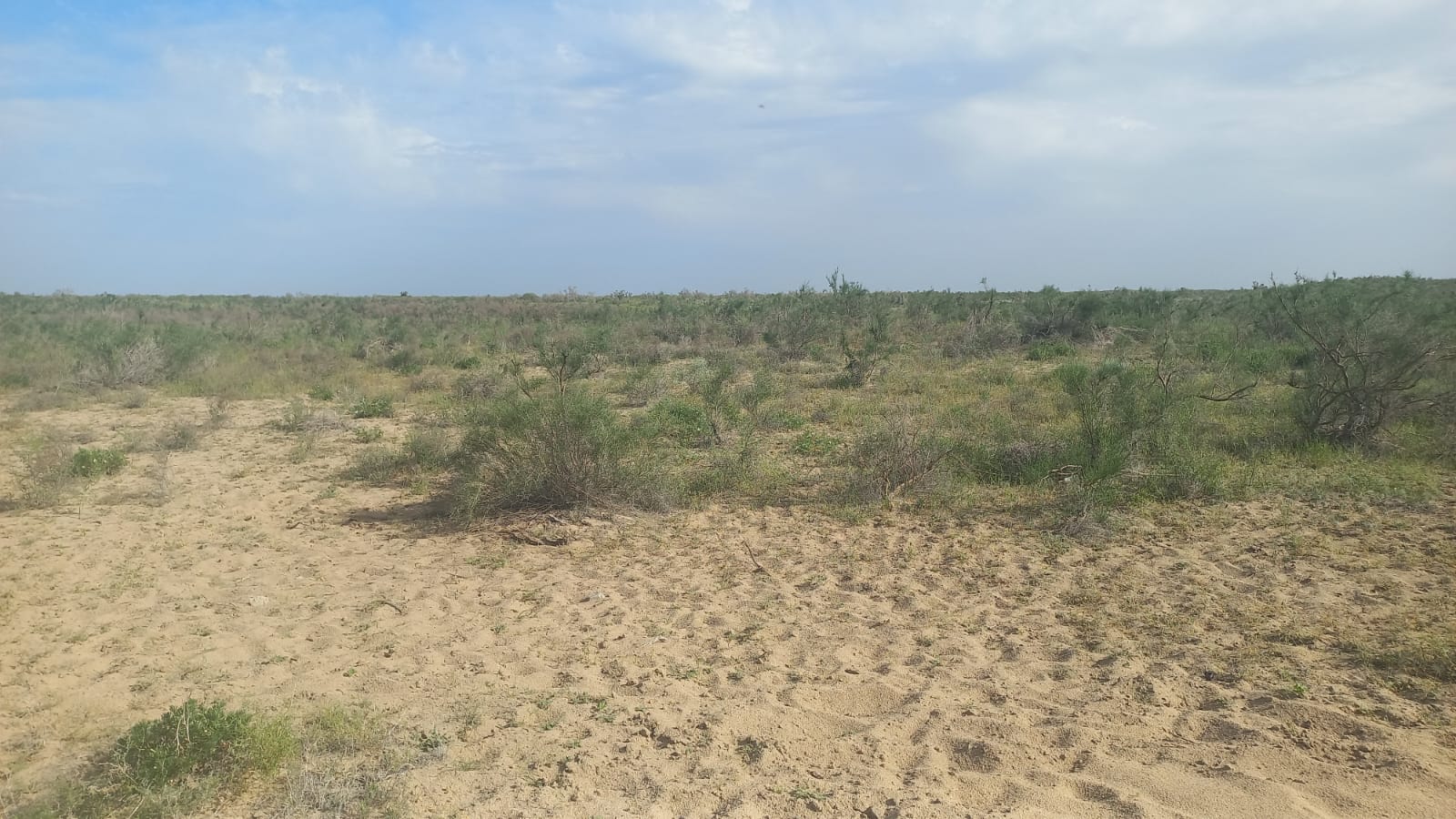img-1