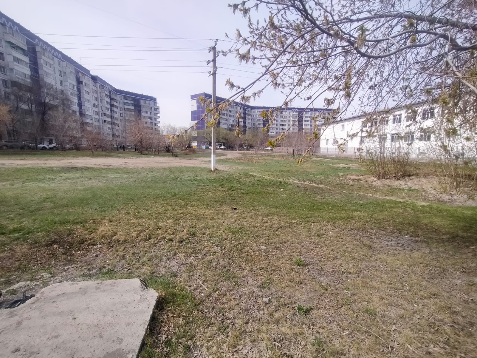 img-4