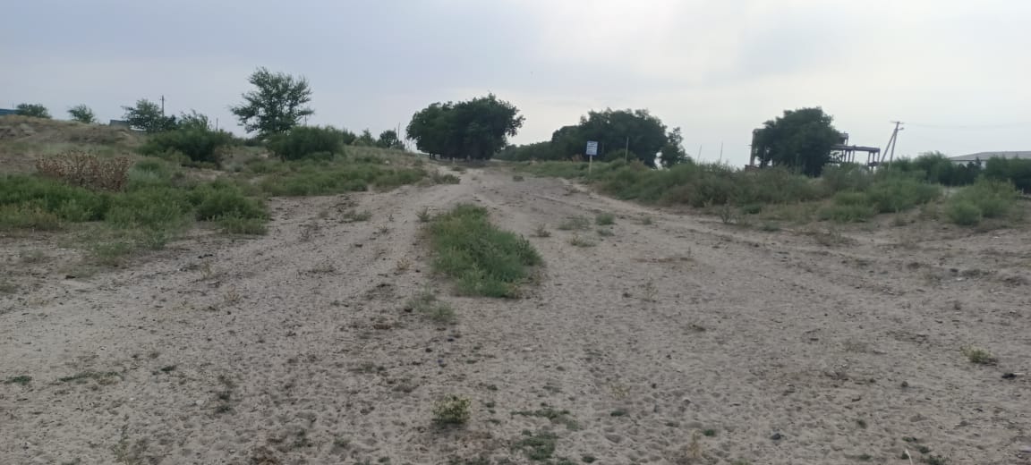 img-4